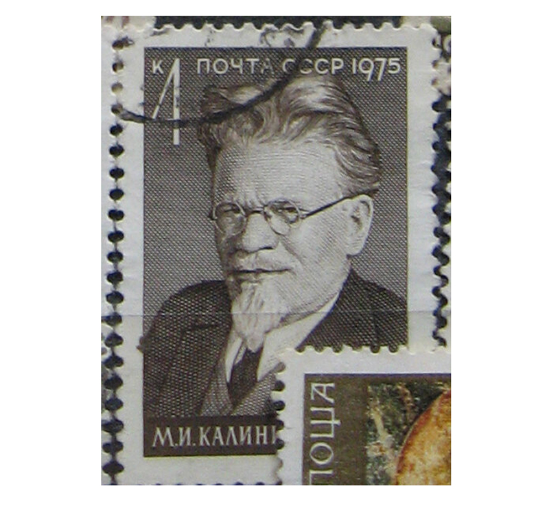 marka kalinin