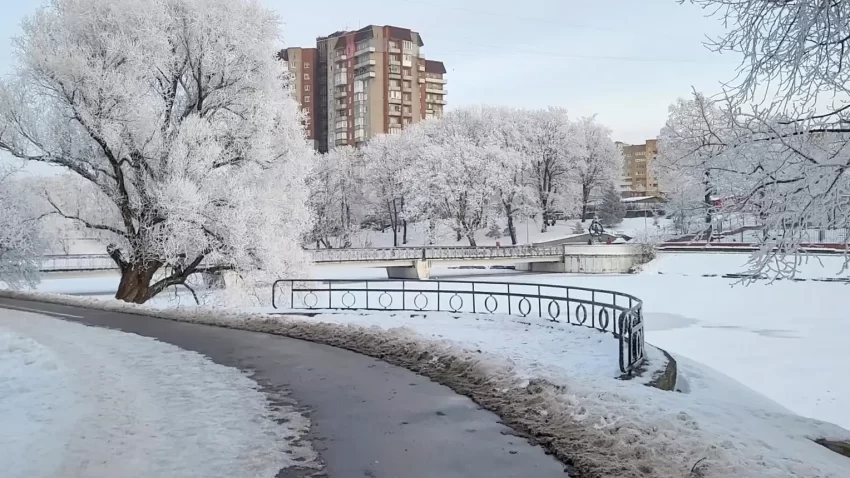 Три зимы Кёнигсберга: от Великой стужи до советского мороза 2 Калининград. Нижнее озеро. 2026 год