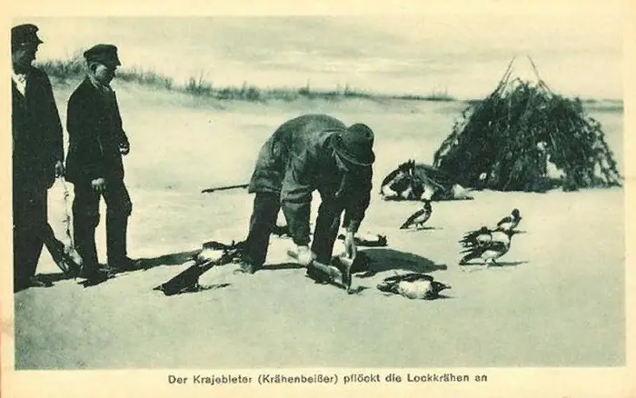 Krähenbeißer на немецкой фотографии