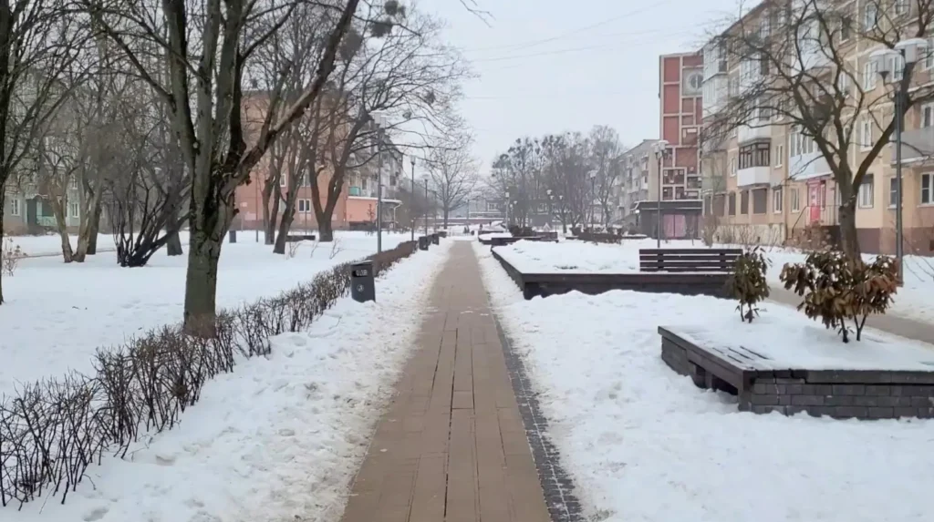Замерзшая лавровишня в сквере на Рокоссовского