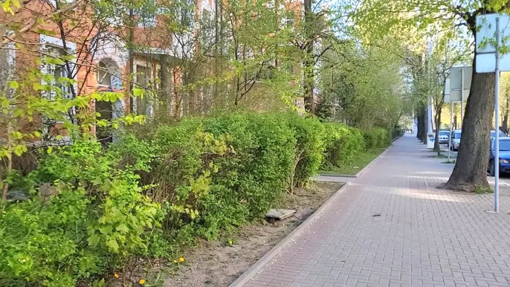 Улица Комсомольская